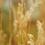 Ricambi Camion: Qualità e Affidabilità da Emporio del Carrozziere