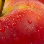 Ricambi Veicoli Industriali: Affidati a Emporio del Carrozziere per Qualità, Assortimento e Competenza